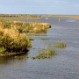 Au bord du lac Okeechobee. 